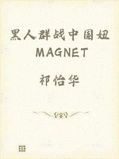 黑人群战中国妞 MAGNET